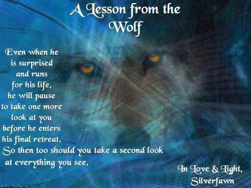 LadyWolfes